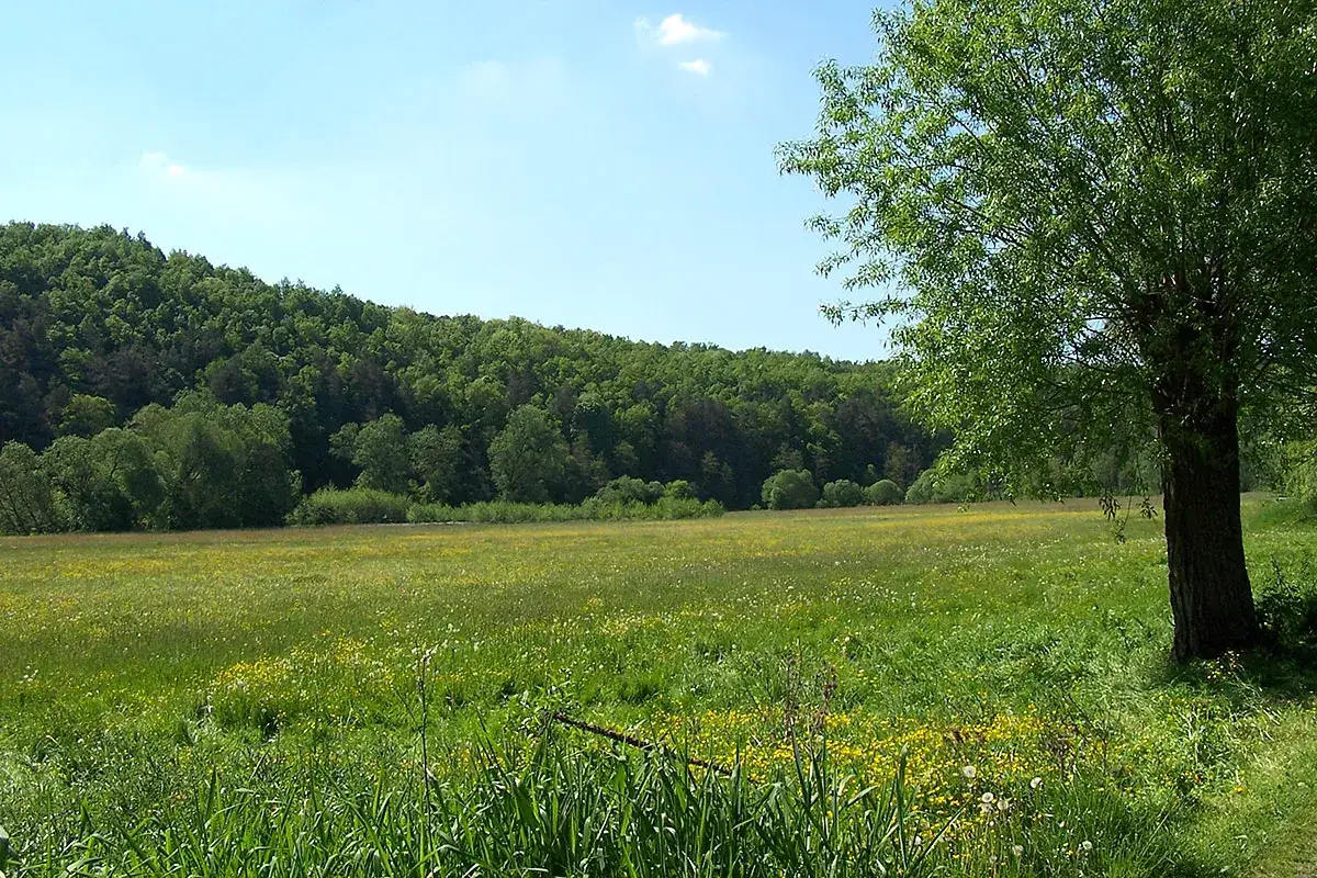 Zdjęcie Gdzie jest Ostrowiec Świętokrzyski? Odkryj jego lokalizację i okolice