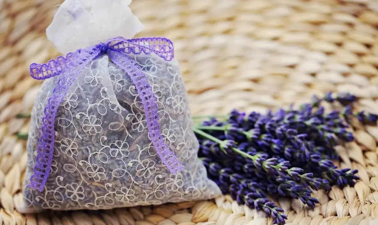 Zdjęcie Co zrobić ze starych firanek? 10 kreatywnych pomysłów na ich wykorzystanie