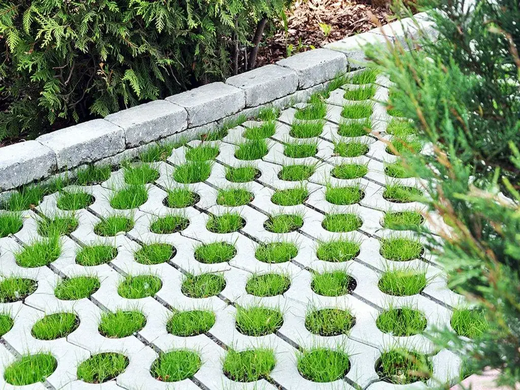 Zdjęcie Najlepsza trawa na podjazd: trwałość, pielęgnacja i estetyka