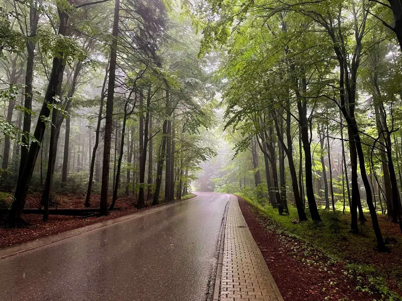 Zdjęcie Jak dojechać na Łysą Górę w Świętokrzyskim - najłatwiejsze trasy