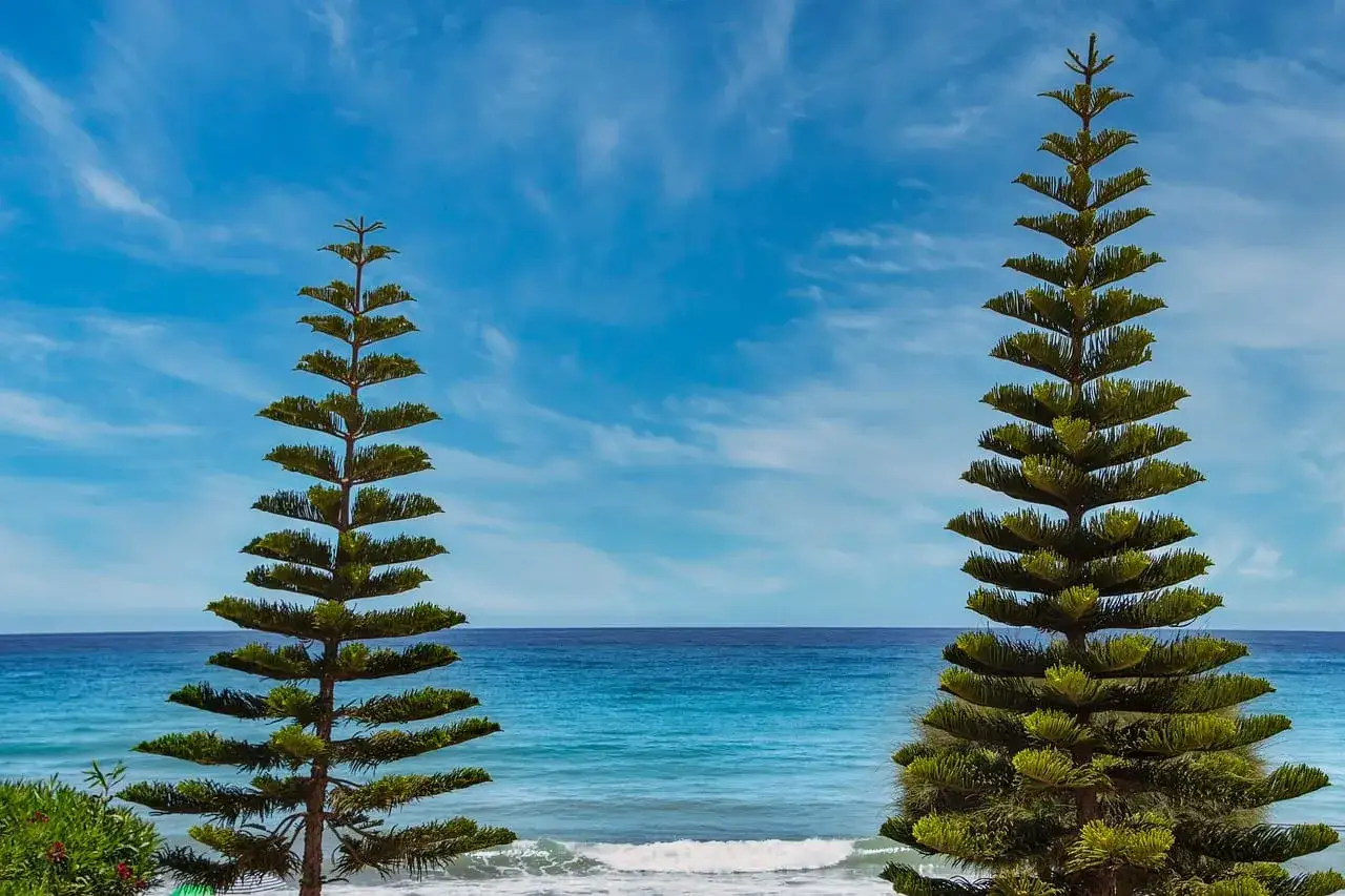 Zdjęcie Atrakcje Chałupy: Odkryj ukryte skarby i najlepsze plaże