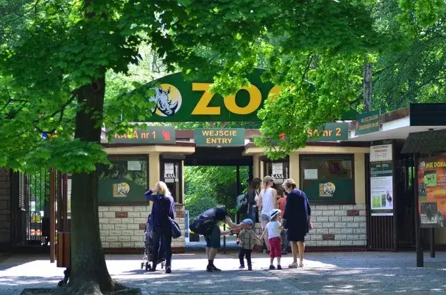 Zdjęcie Jak dojechać z Dworca PKP do Nowego Zoo w Poznaniu bez problemów