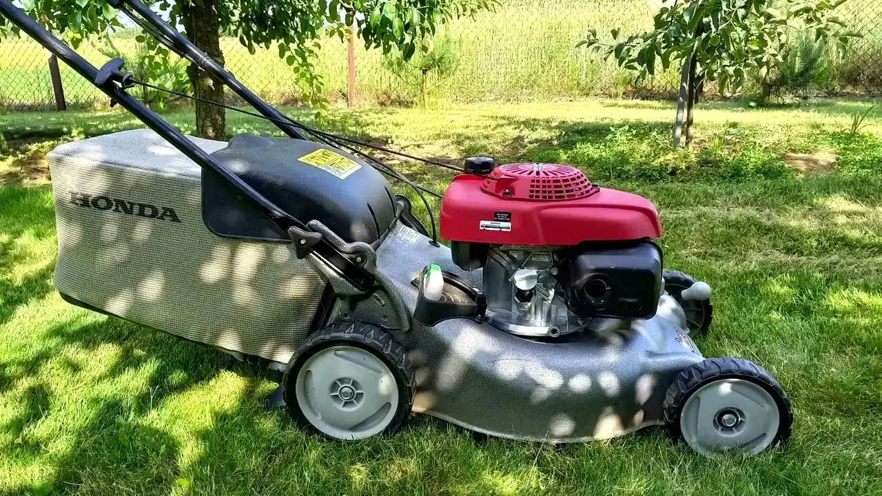 Zdjęcie Ile oleju do kosiarki Honda? Sprawdź, by uniknąć problemów z silnikiem