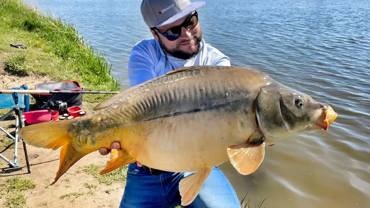 Zdjęcie Łowisko Grzymalin: Najlepsze miejsca na wędkowanie i gatunki ryb