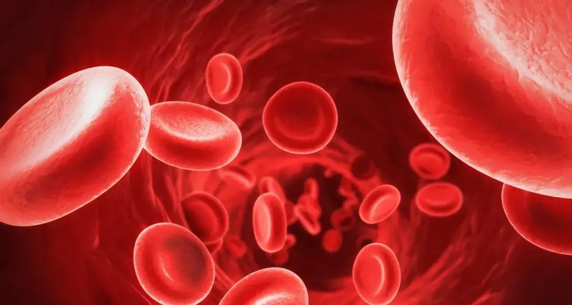 Zdjęcie Czy przed badaniami można wypić kawę? Sprawdź, jak to wpływa na wyniki