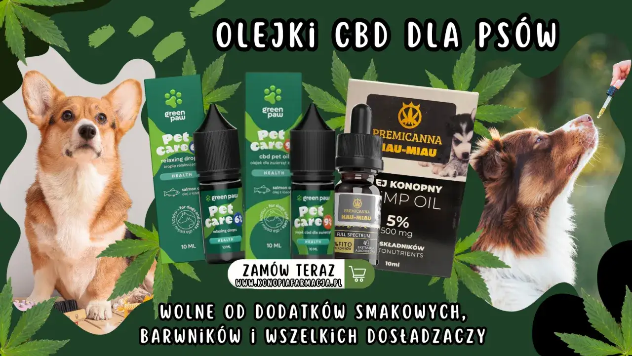 Zdjęcie Olej z konopi dla psa – jak poprawić zdrowie i samopoczucie pupila