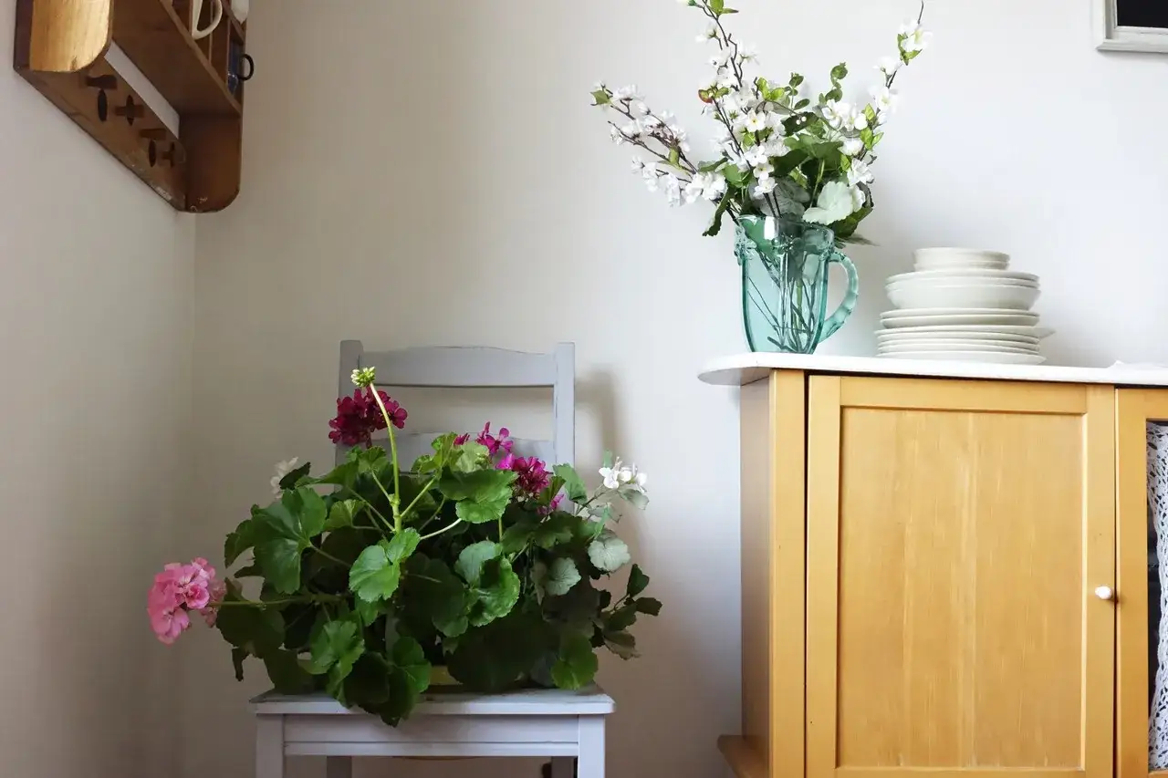 Zdjęcie Kwietnik z krzesła DIY: Praktyczny poradnik krok po kroku