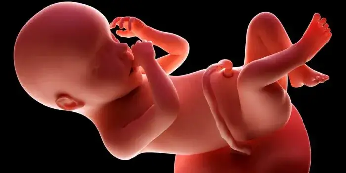 Zdjęcie Jak wygląda dziecko w 30 tygodniu ciąży? Rozwój, ruchy i zmysły malucha