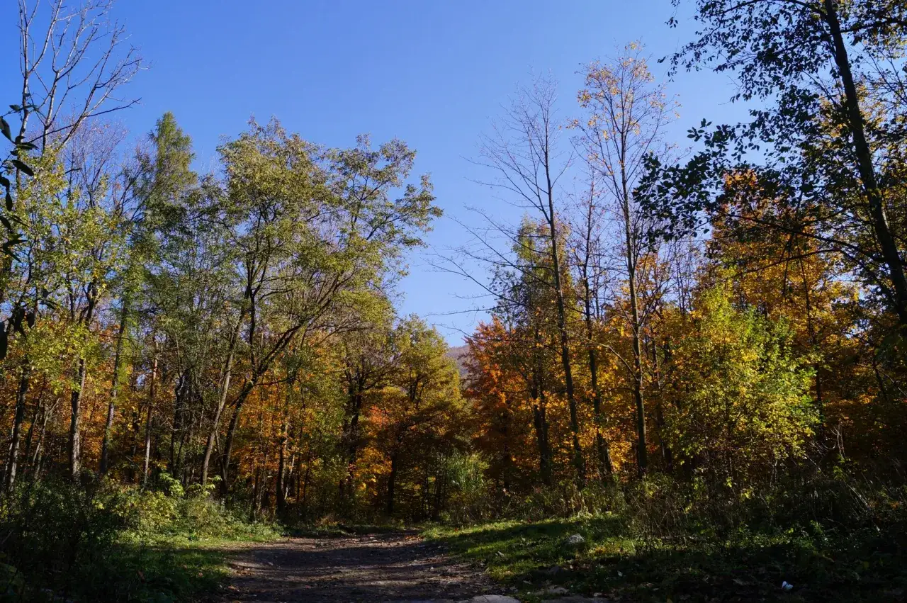 Zdjęcie Wapienica atrakcje – odkryj najpiękniejsze miejsca w Beskidach