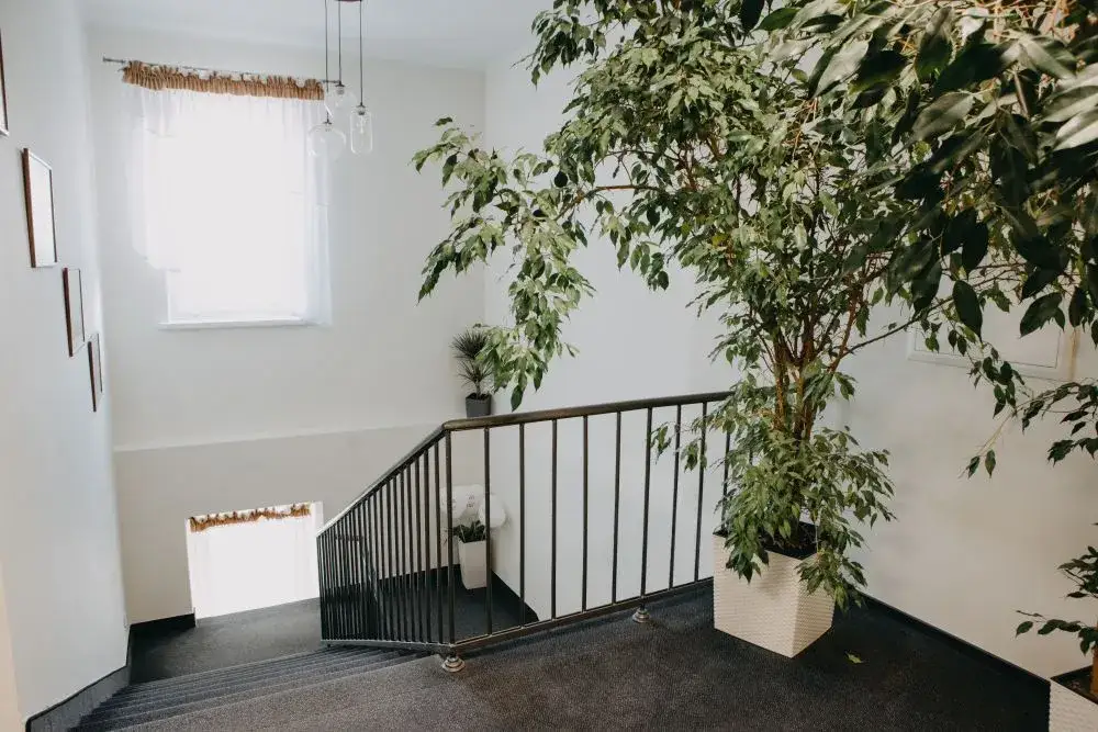 Zdjęcie Opinie o sanatorium Świt Solec-Zdrój: co naprawdę myślą goście?