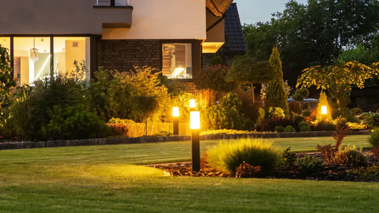 Zdjęcie Jak oświetlić drzewa w ogrodzie: proste sposoby na piękno i bezpieczeństwo