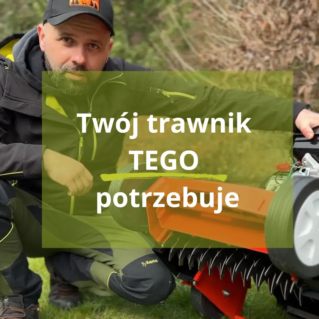 Zdjęcie Wertykulacja trawnika kiedy: uniknij błędów i zyskaj piękny trawnik