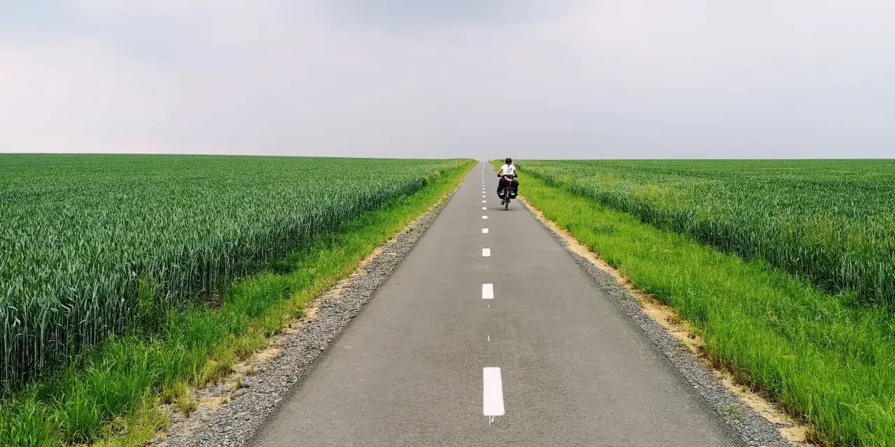 Zdjęcie Trasa rowerowa wzdłuż Odry mapa - odkryj najlepsze szlaki rowerowe