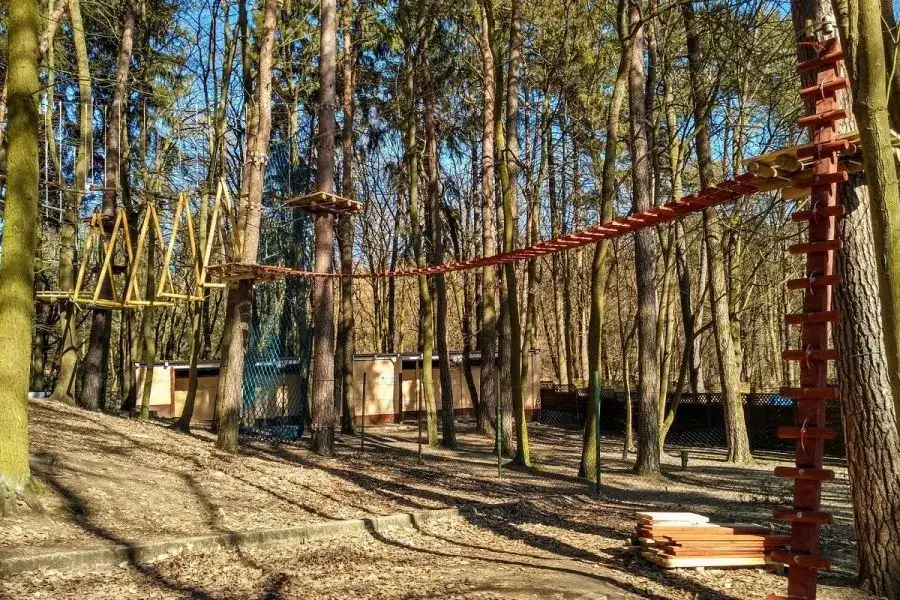 Zdjęcie Park linowy Szczecin - atrakcje, trasy i ceny dla całej rodziny