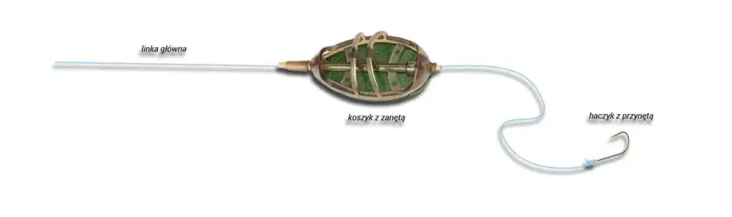 Zdjęcie Jak uzbroić wędkę: proste kroki do skutecznego łowienia ryb