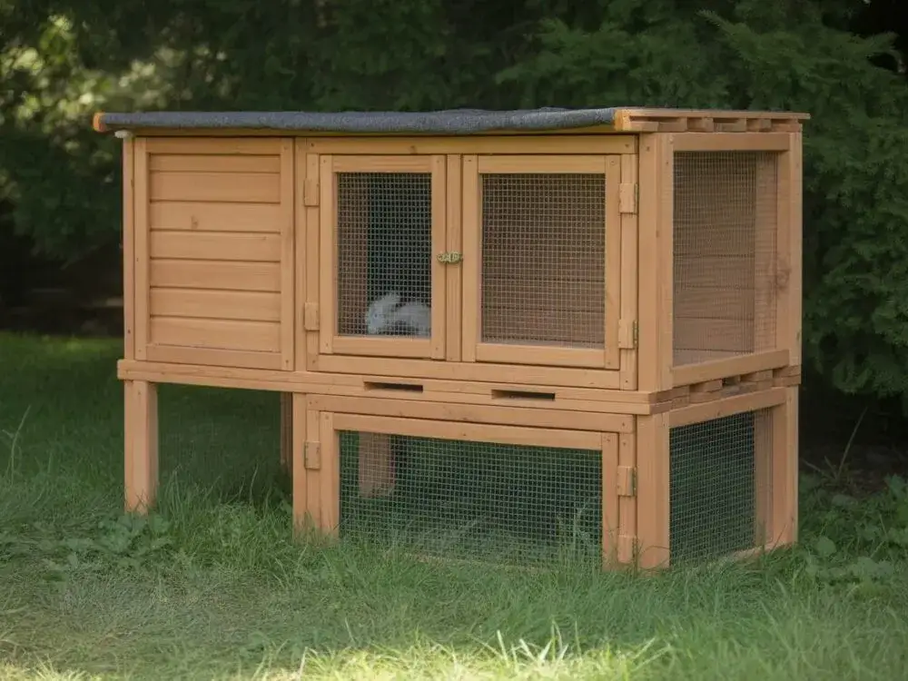 Zdjęcie Bezpieczne malowanie klatki dla królika: jak wybrać odpowiednie farby?