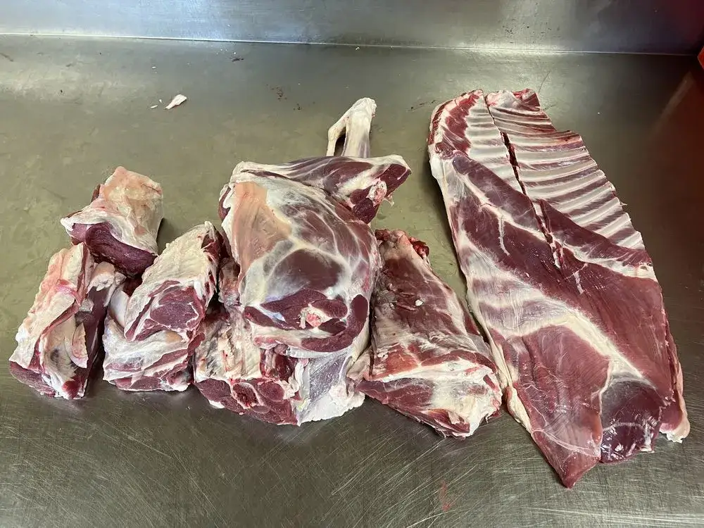 Zdjęcie Gdzie kupić jagnięcinę w Łodzi? Sprawdź najlepsze miejsca i oferty