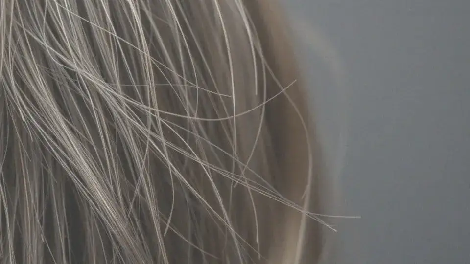 Zdjęcie Ile kosztuje botox włosów? Sprawdź ceny i co wpływa na koszt