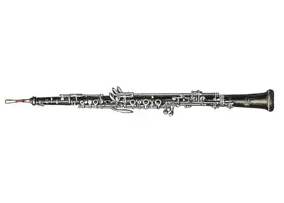 Zdjęcie Obój - Budowa, Rodzaje i Historia Instrumentu