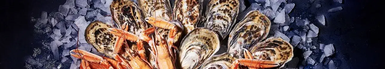 Zdjęcie Plateaux de fruits de mer traiteur : options, prix et qualité à connaître