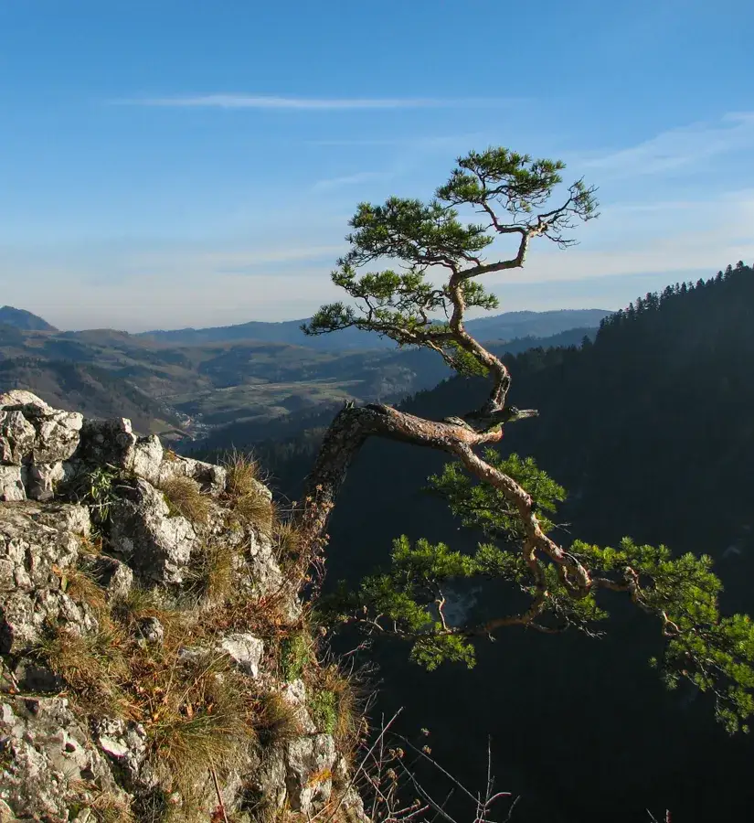 Zdjęcie Sokola Perć - trudny szlak z niesamowitymi widokami i przygodą
