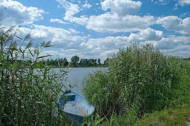 Zdjęcie Nieznanowice łowisko - najlepsze miejsce na udane wędkowanie