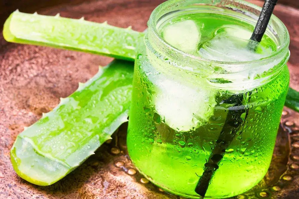 Zdjęcie Napój aloes – zdrowe właściwości, smaki i jak go wykorzystać