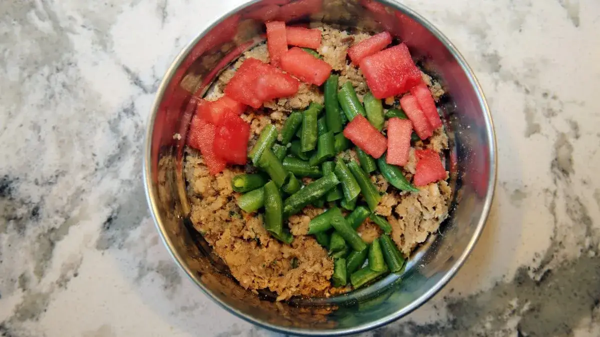 Zdjęcie Czy pies może jeść fasolkę szparagową? Bezpieczne przygotowanie i ryzyko