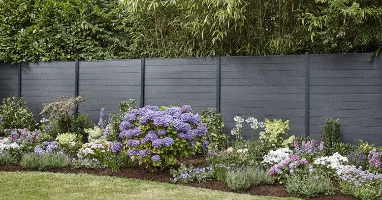 Zdjęcie Najlepsze rośliny przy ogrodzeniu z siatki: 10 sprawdzonych opcji