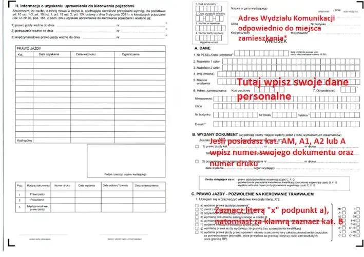 Zdjęcie Jak uniknąć błędów i szybko wypełnić wniosek o profil kierowcy krok po kroku