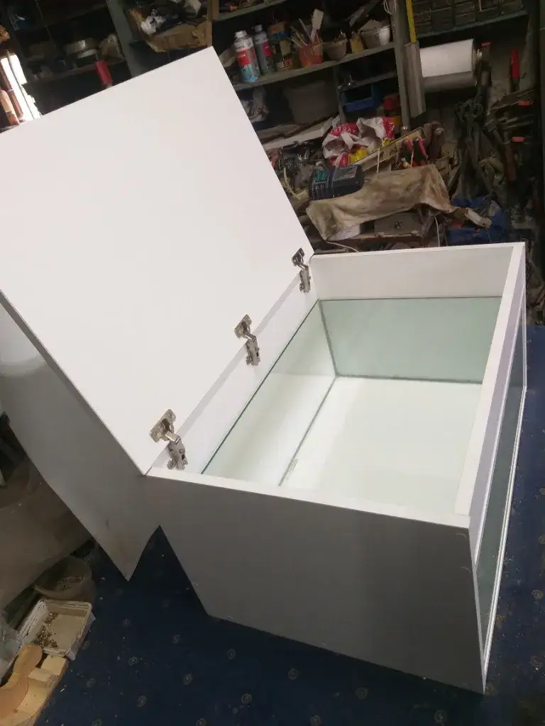 Zdjęcie Jakie akwarium dla żółwia – wybierz idealne miejsce dla swojego pupila