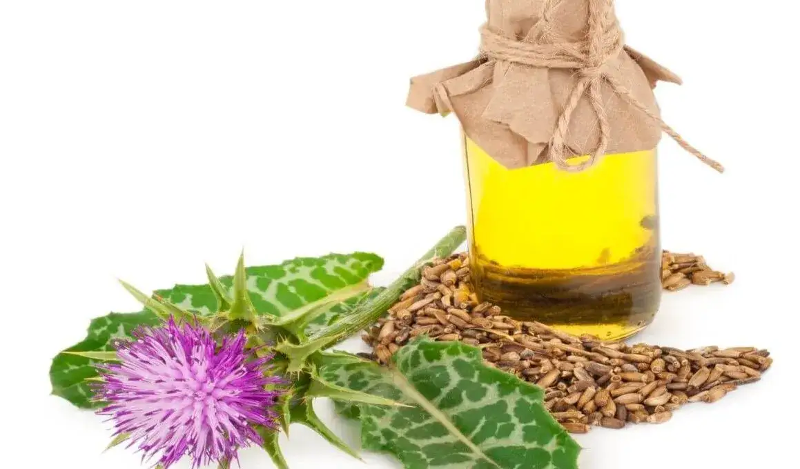 Zdjęcie Czy ostropest obniża cholesterol? Fakty, badania i skuteczność