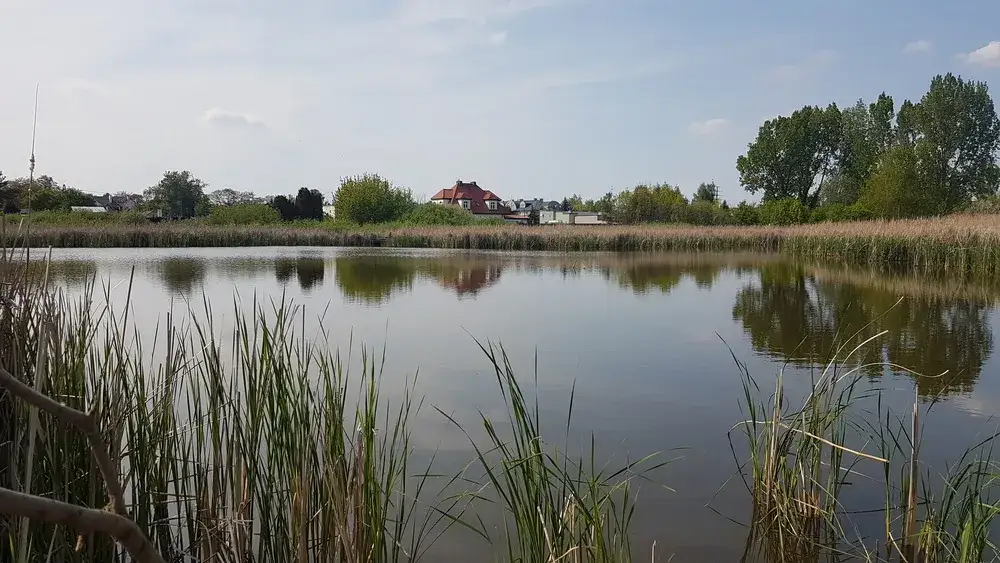 Zdjęcie Jezioro Imielińskie: unikalny ekosystem i zagrożenia dla przyrody