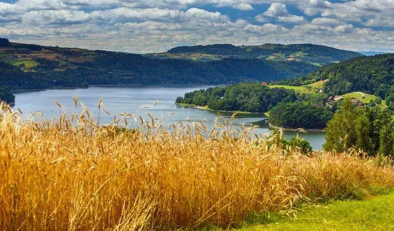 Zdjęcie Najlepsze trasy rowerowe wokół jeziora rożnowskiego, które musisz znać