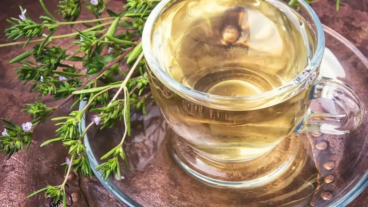 Zdjęcie Jak zrobić napar z oregano: naturalne remedium na infekcje i przeziębienie