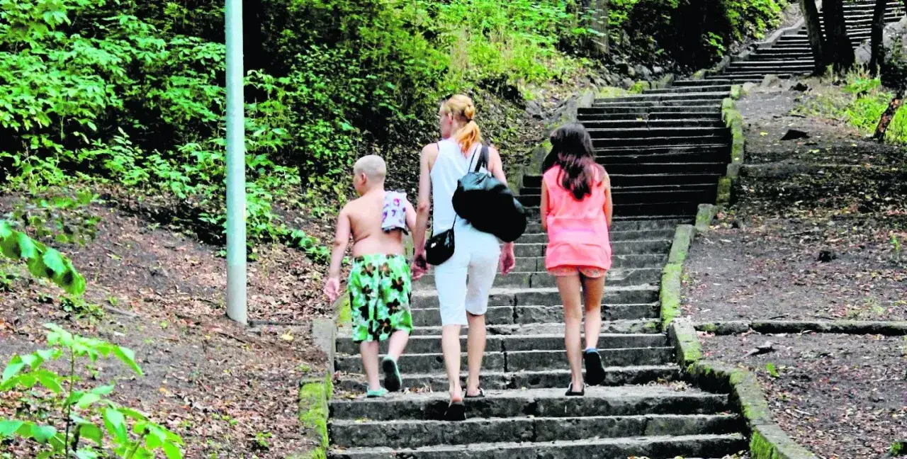Zdjęcie Ile schodów na Kamienną Górę w Gdyni? Sprawdź trudności wspinaczki