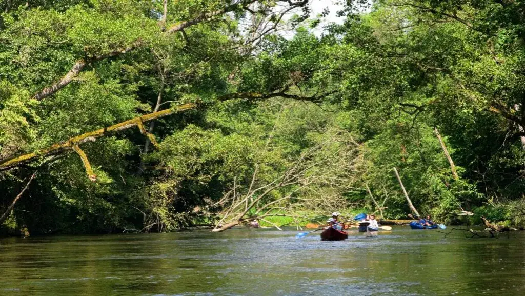 Zdjęcie Najtrudniejsze spływy kajakowe w Polsce – wyzwania, które zaskoczą każdego