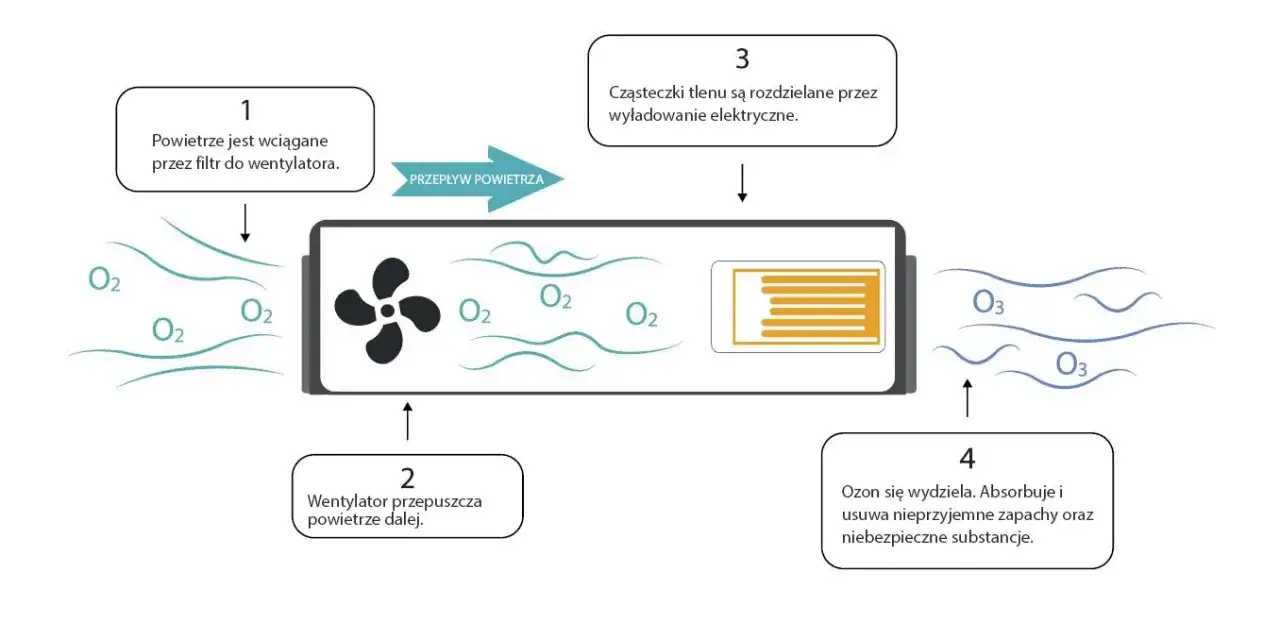 Zdjęcie Co daje ozonowanie mieszkania? Odkryj korzyści dla zdrowia i komfortu