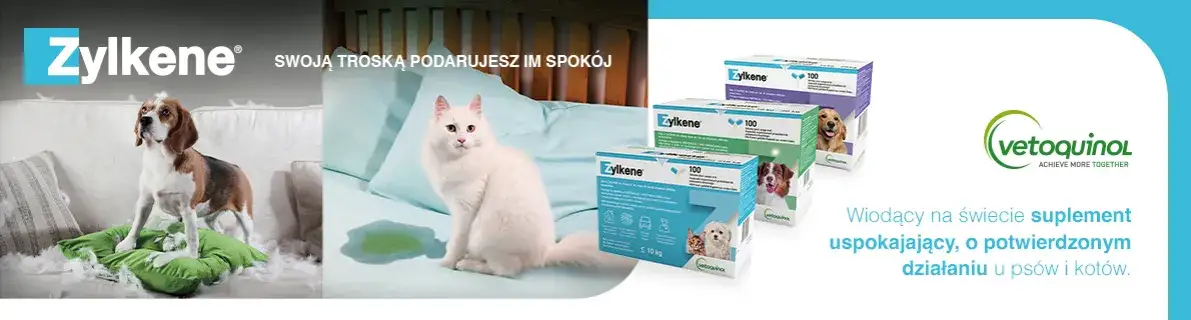 Zdjęcie Skuteczne sposoby na uspokojenie psa – naturalne preparaty i porady