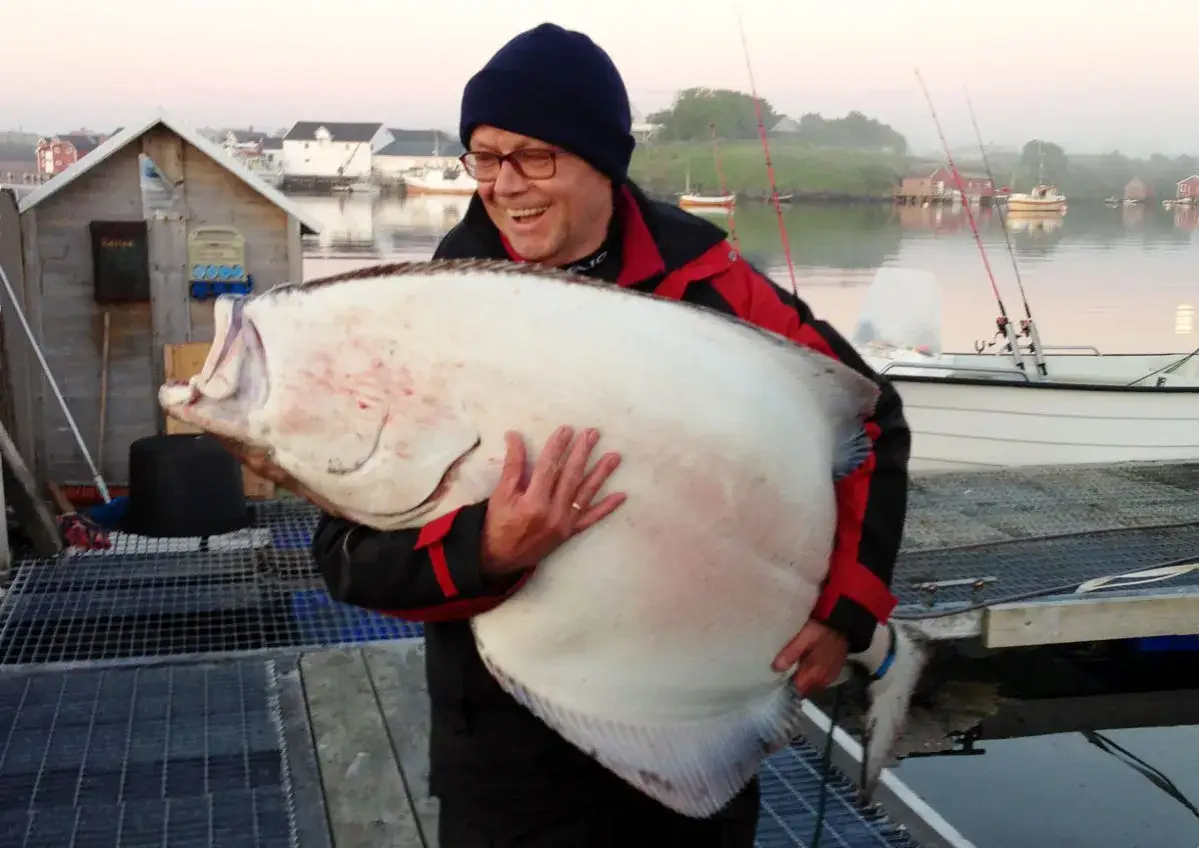 Zdjęcie Zanęta halibut na jakie ryby jest skuteczna? Sprawdź najlepsze opcje