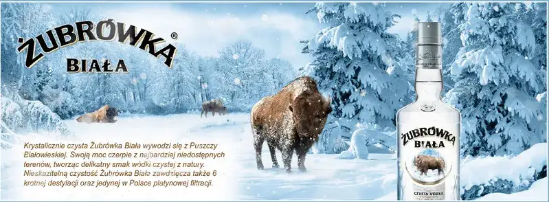 Zdjęcie Ile kosztuje pół litra wódki Żubrówki? Sprawdź najlepsze ceny!