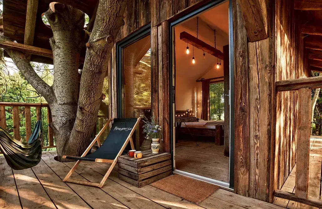 Zdjęcie Najlepsze domki na drzewie w Dolnym Śląsku - komfort i widoki