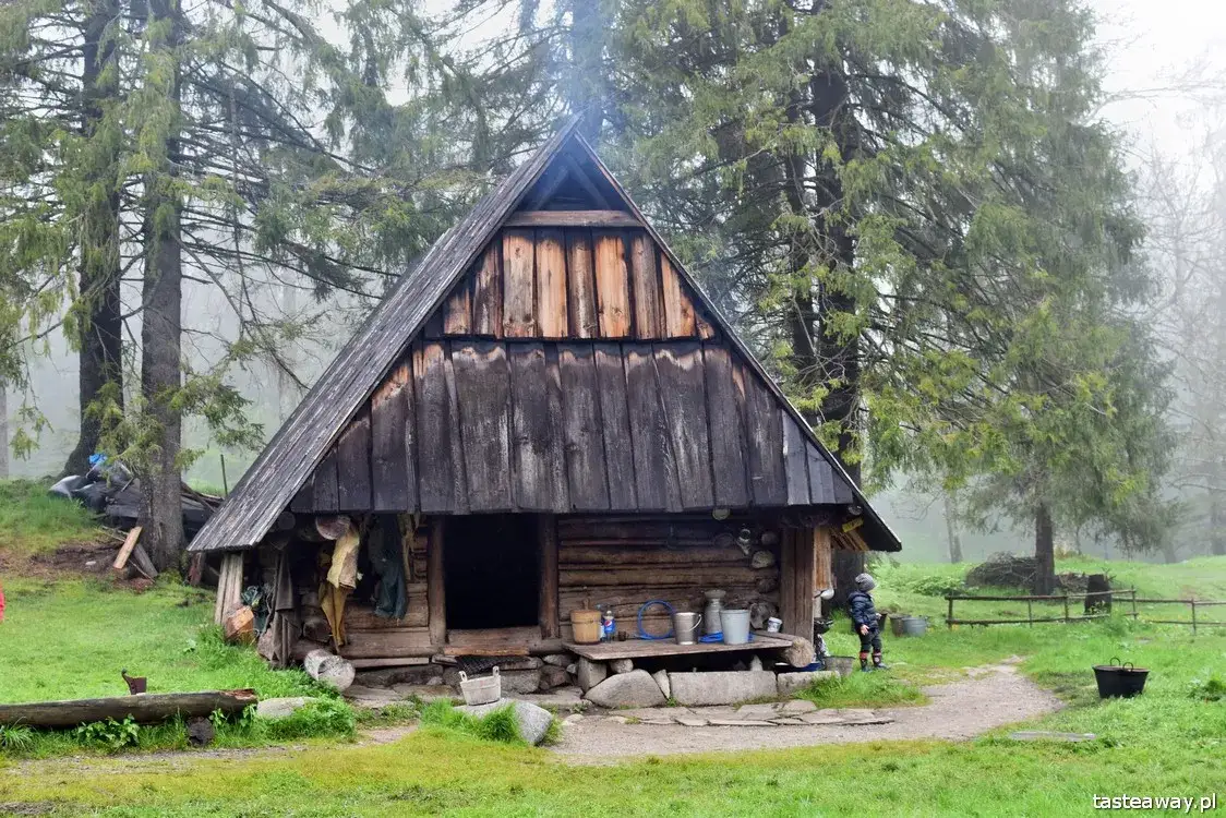 Zdjęcie Bacówka pod reglami - tradycyjne oscypki i lokalna kultura w sercu Tatr