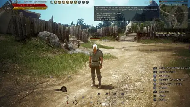 Zdjęcie Spolszczenie Black Desert - jak uzyskać polski język w grze?