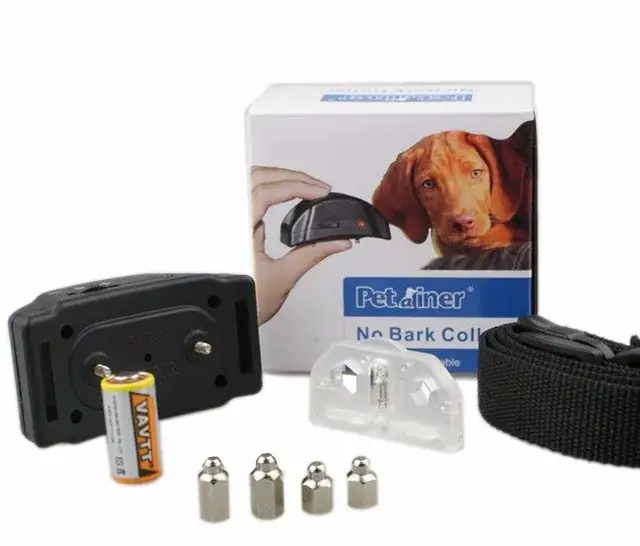 Zdjęcie Czy obroża elektryczna jest skuteczna w szkoleniu psów? Oto prawda