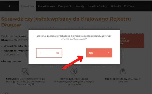 Zdjęcie Jak sprawdzić, czy jesteś w Krajowym Rejestrze Długów i uniknąć problemów finansowych