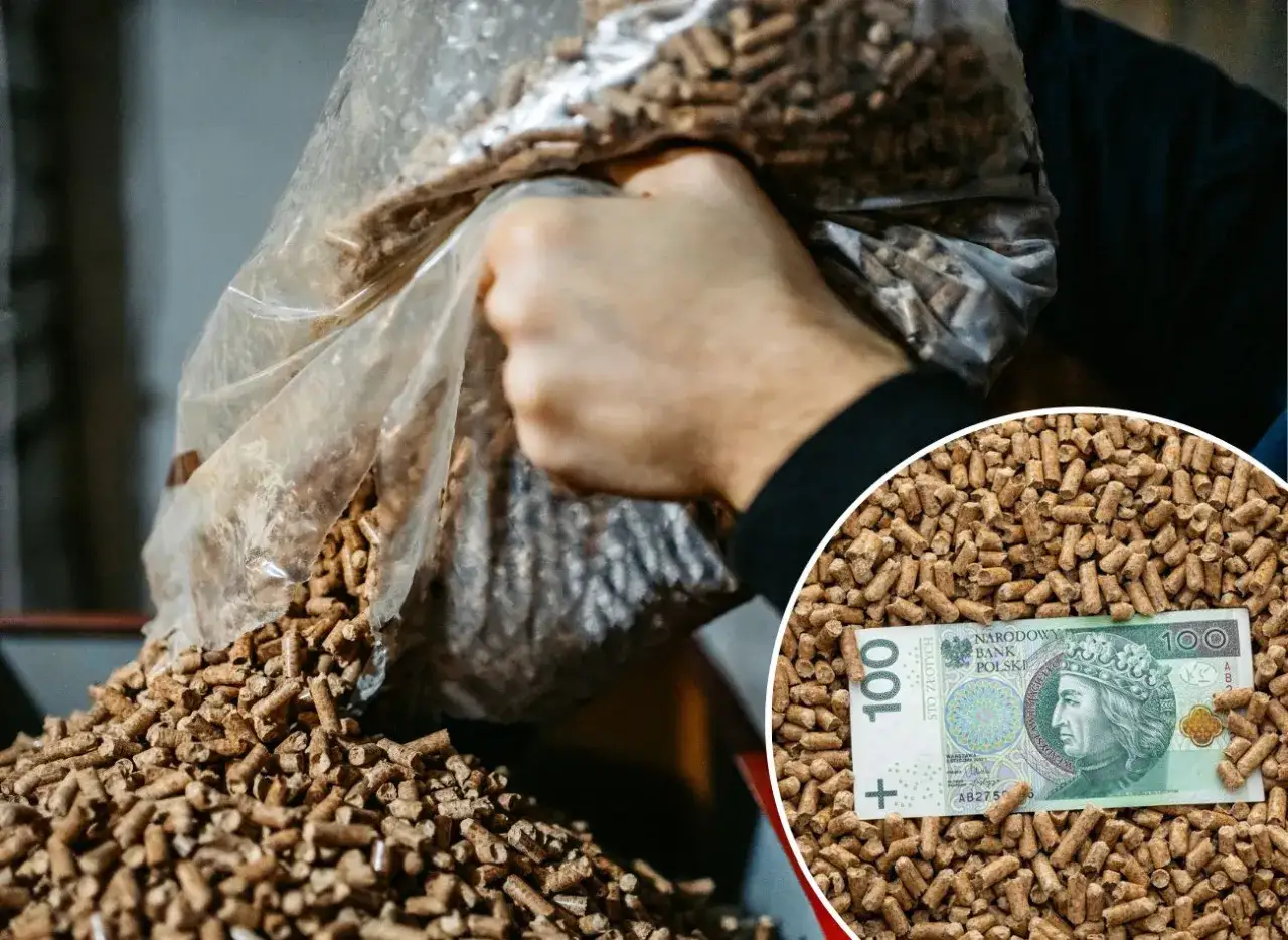 Zdjęcie Czy ceny pelletu spadną? Prognozy i analiza rynku opału