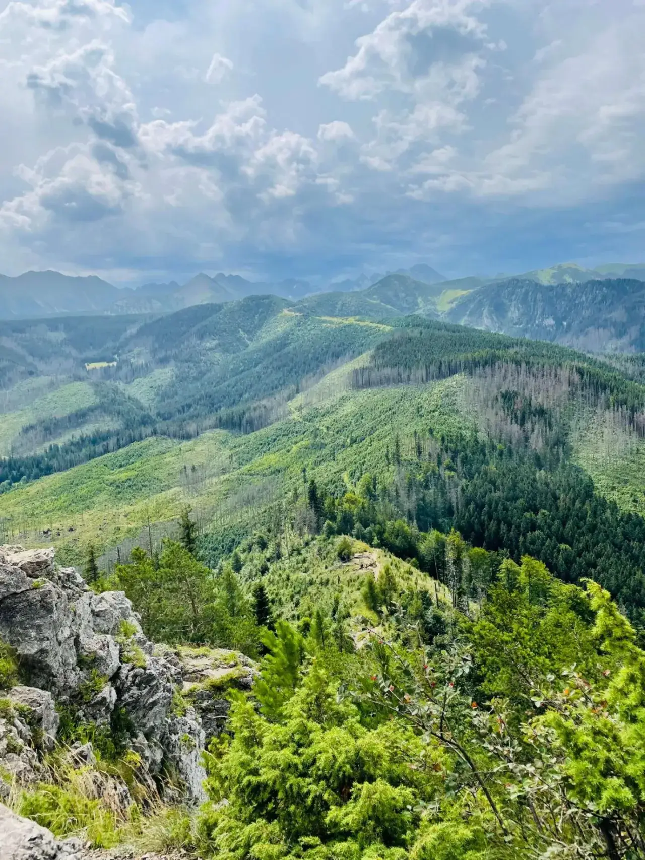 Zdjęcie Najlepsze szlaki z Zakopanego dla rodzin i początkujących turystów