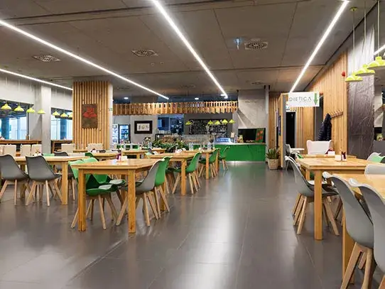 Zdjęcie Gdzie zjeść w Koszalinie? Odkryj najlepsze restauracje i smaki