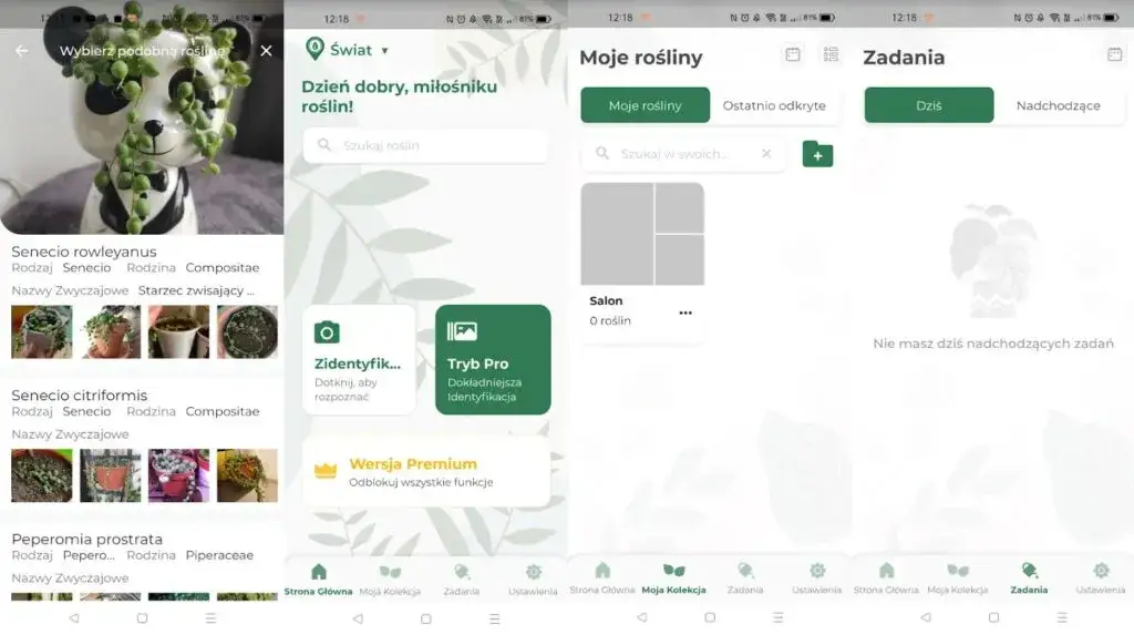 Zdjęcie Czy aplikacja PlantIn jest darmowa? Poznaj funkcje i ograniczenia